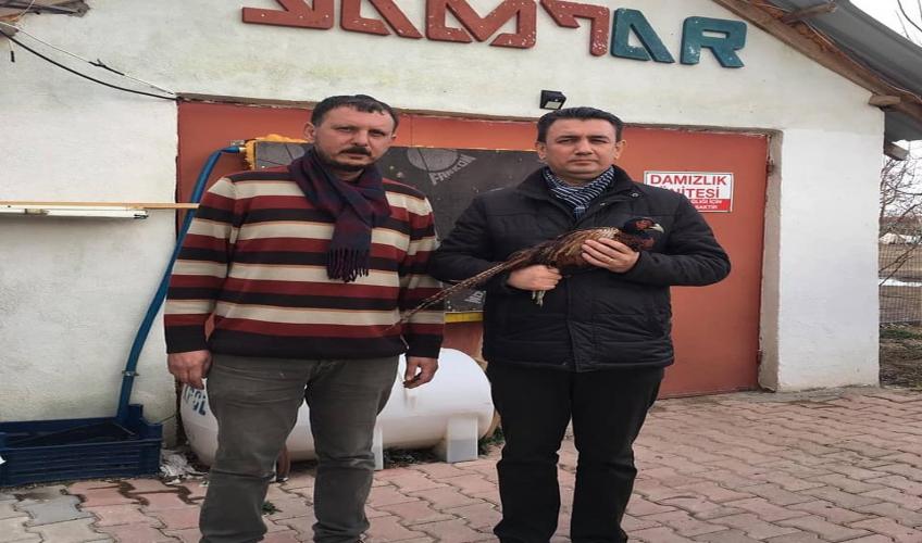 milletvekilimizinziyaretleri.